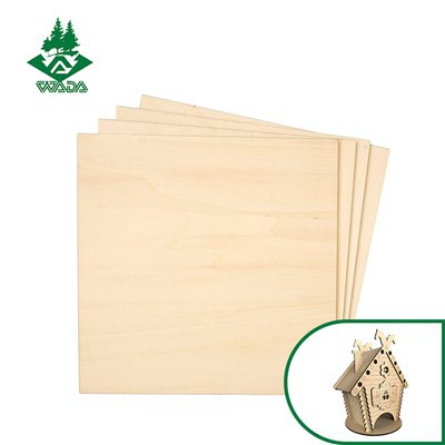 ଲେଜର ଖୋଦିତ ପ୍ଲାଇଡ୍ |